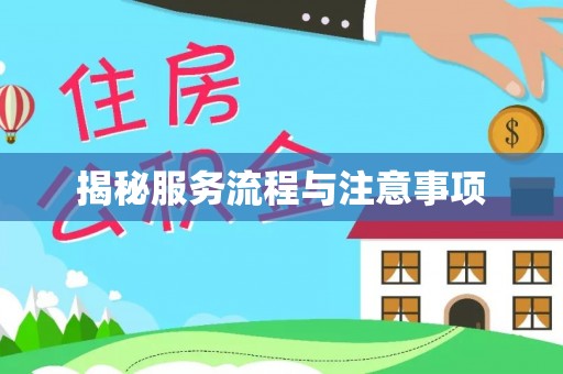 阳曲揭秘服务流程与注意事项