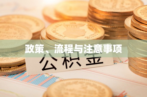 阳曲政策、流程与注意事项