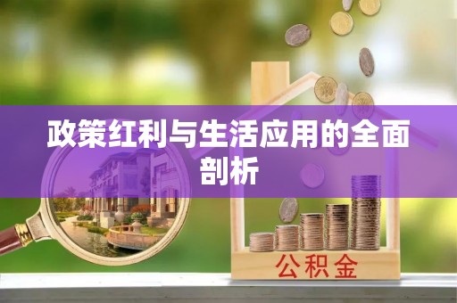 阳曲政策红利与生活应用的全面剖析