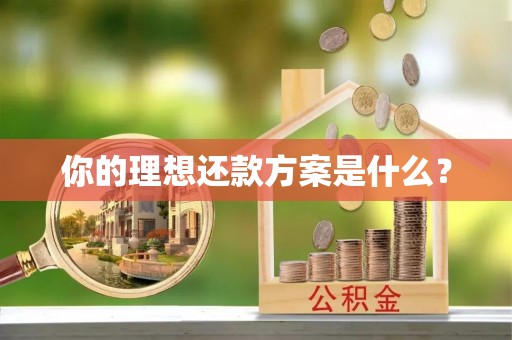 阳曲你的理想还款方案是什么？