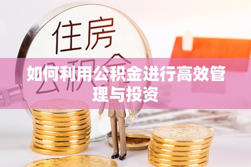 阳曲如何利用公积金进行高效管理与投资