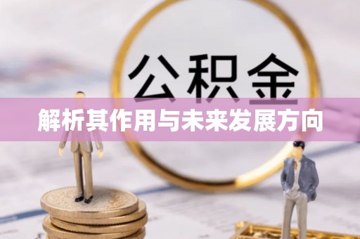 阳曲解析其作用与未来发展方向